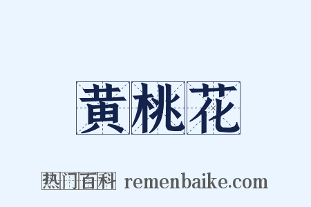 黄桃花是什么意思的图片